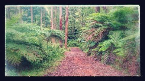 Photo: Toorongo Falls Campsite